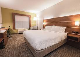 Holiday Inn Express & Suites EAST LANSING by IHG 3