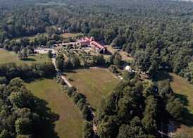 Waldhotel Eiche 2