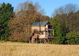 Sycamore Avenue Treehouses & Cottages Accommodation 4