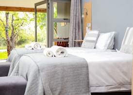 Bushbaby Lodge at Nkonyeni 4