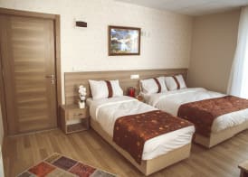 Grand Dedem Hotel 4