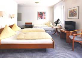 City Hotel Mark Michelstadt 5