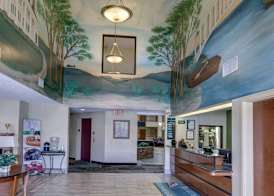 Quality Suites Baton Rouge East - Denham Springs 5