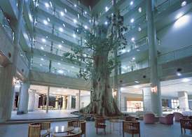 Yakushima Iwasaki Hotel 2