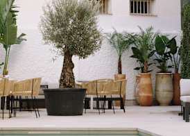 Apartamentos Buendia Suites - Torremolinos Centro 3
