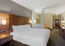Comfort Suites Loveland 5