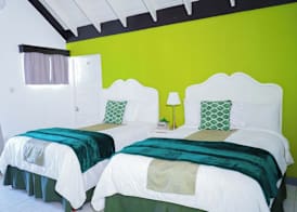 Ayurveda Resort Negril Jamaica 3