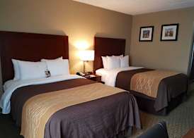 Comfort Inn Wethersfield - Hartford 5