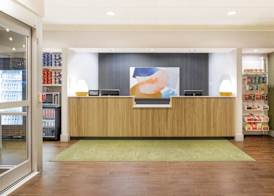 Spark by Hilton Clifton 2