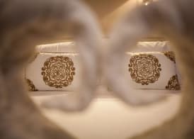 Hostal Boutique Plaza Cantarero 4