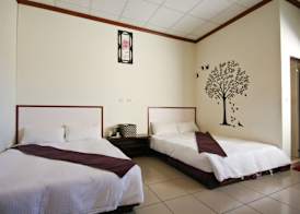 Sun Flower House 4