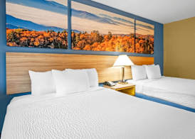 Days Inn by Wyndham Renfro Valley Mount Vernon 5