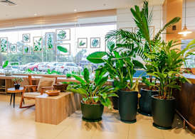 ibis Styles Curitiba Aeroporto 2