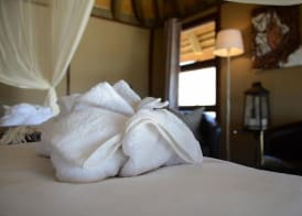 Hoodia Desert Lodge 5