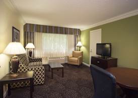 Holiday Inn Express ATHENS-UNIVERSITY AREA by IHG 2