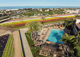 The Cassara Carlsbad, Tapestry Collection By Hilton 3