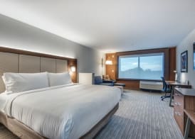 Holiday Inn Express & Suites DALLAS NORTH - ADDISON by IHG 5