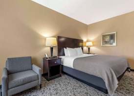 Quality Inn & Suites Groesbeck North 5