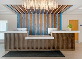 The J Hotel Dunedin Clearwater, an Ascend Collection Hotel 2