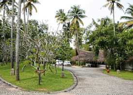 Marari Beach Resort Alleppey - A CGH Earth Experience 3