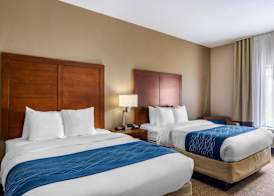 Comfort Inn South Chesterfield - Colonial Heights 5