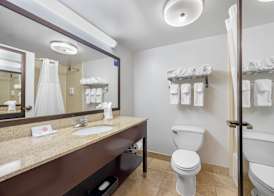 Comfort Inn Chattanooga Downtown Southside 5