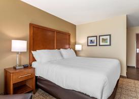 Comfort Inn & Suites Waller 5