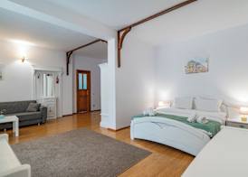 Vila Zorile 4
