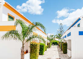 Oasis Beach Apartments 5