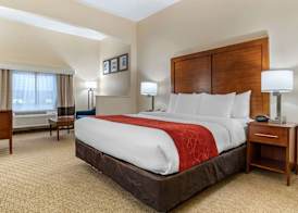 Comfort Suites Jacksonville Airport 4