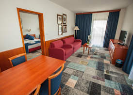 Hotel Toplice - Terme Čatež 5