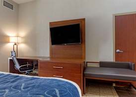 Comfort Suites Gainesville 5