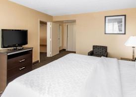 CLARION HOTEL DENVER CENTRAL 3