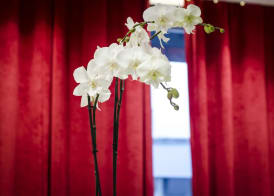 Hotel Migny Opéra Montmartre 5