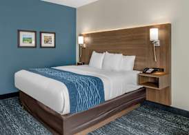 Comfort Inn & Suites Troutville-Roanoke North 5