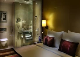 Park Plaza Delhi CBD Shahdara 4