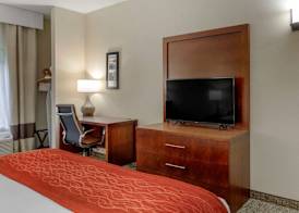 Comfort Inn & Suites Canton Riverstone Area 4