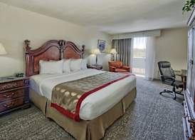 Hotel Mesa Albuquerque Midtown 4