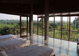 Tree Tops Yala 3