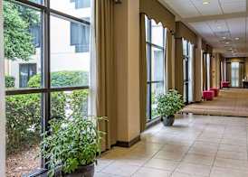 DoubleTree by Hilton Charlotte Airport 4