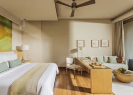 Six Senses Vana - A Wellness Retreat 2