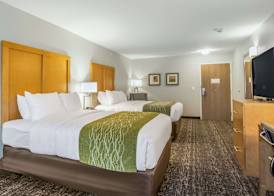 Comfort Inn Jasper South 5