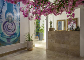 Noa Suite Hotel Only Adult 2