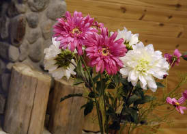 Blanca Patagonia Boutique Inn and Cabins 2