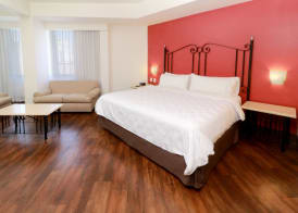Holiday Inn & Suites GUADALAJARA CENTRO HISTORICO by IHG 5