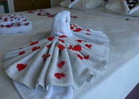 Saygılı Beach Hotel & All Inclusive 3