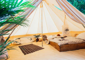 Star Surf Camps 4