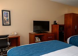Comfort Inn & Suites Patriots Point 5