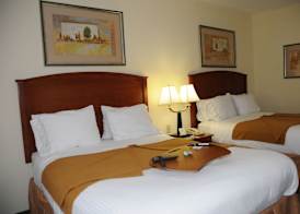 Holiday Inn Express & Suites DALLAS - GRAND PRAIRIE I-20 by IHG 3