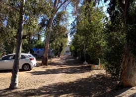 Camping la Naranja 5